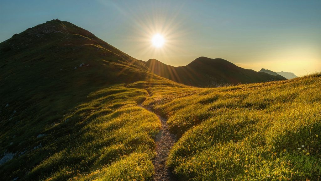 Continue our journey together. Lions Roar